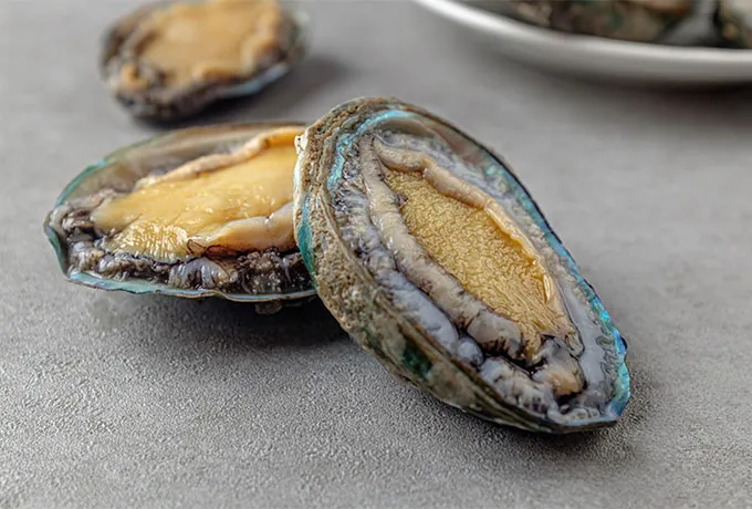 Abalone Flavor