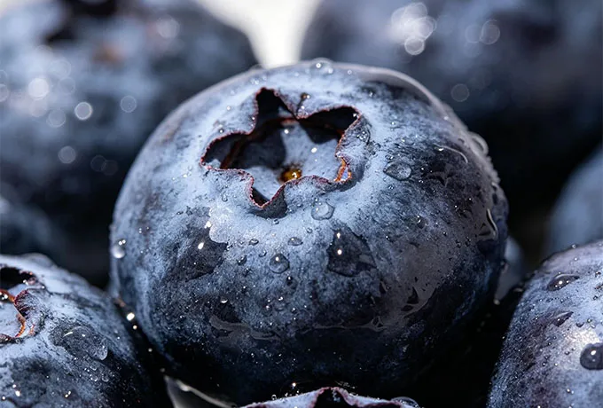 Blueberry flavor