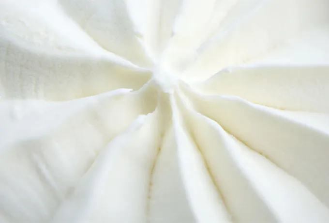 Dairy Flavors