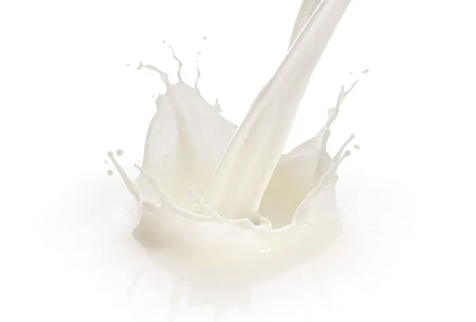 Fresh Milk Flavor