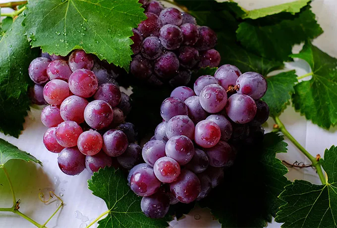 Grape flavor