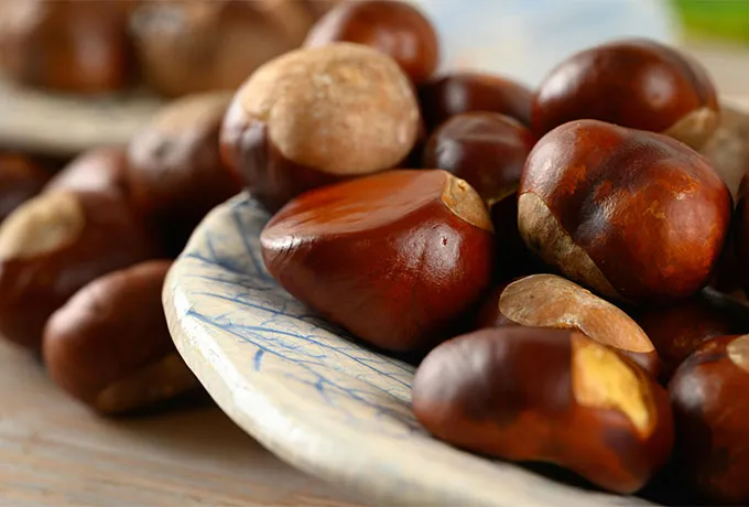 Hazelnut Flavor