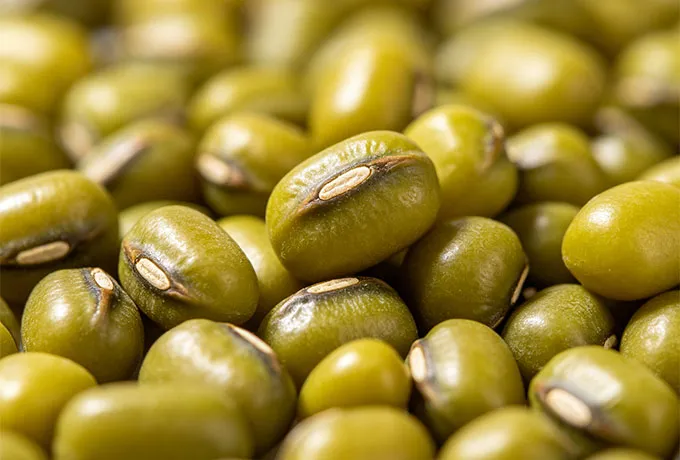 Mung Bean Flavor