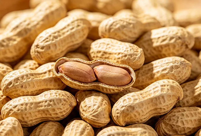 Peanut Flavor