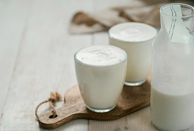 Plain Yogurt Flavor