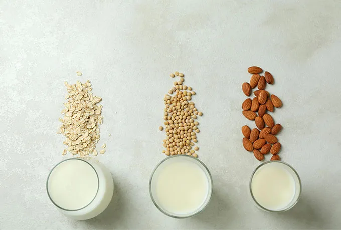 Plant Dairy Flavors