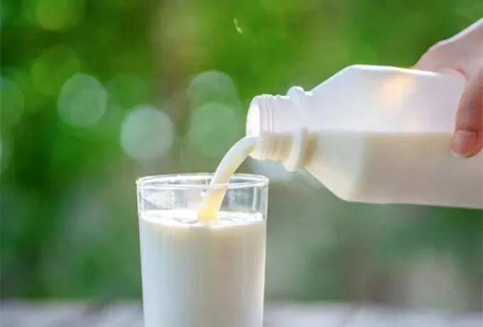 Skim Milk Flavor