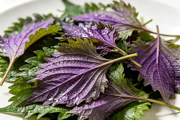 Basil Flavor