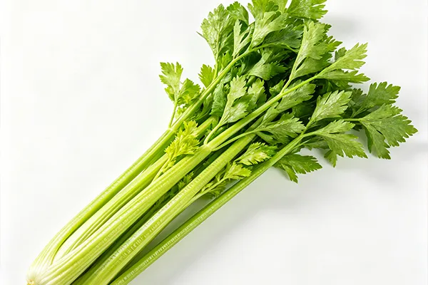 Celery Flavor