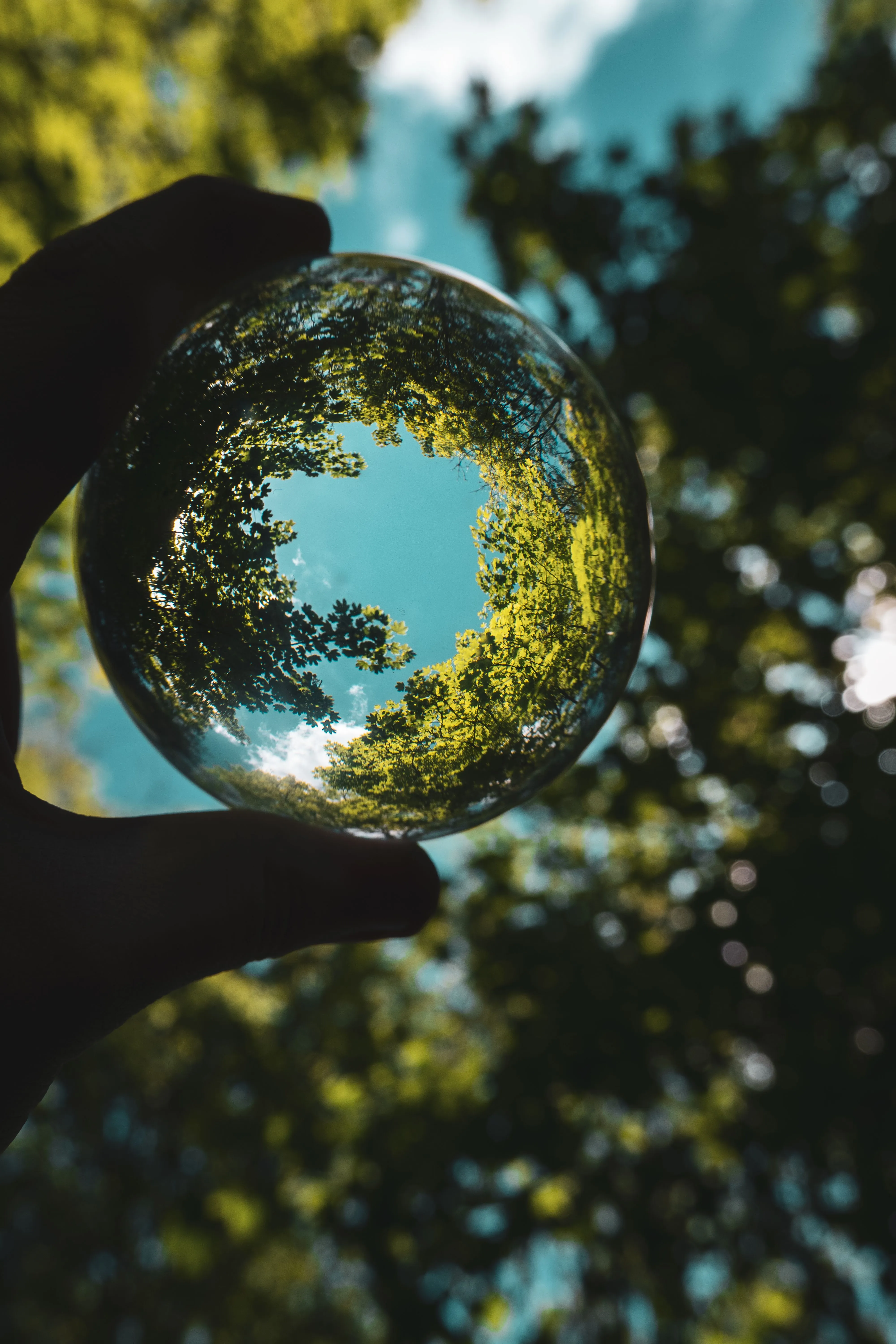 ESG & Sustainability